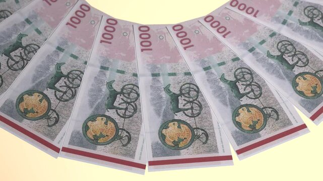 Elevated Looping Design 1000 Krone Curency of Denmark