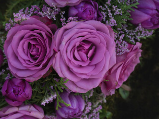 Verschiedene Rosen gesteckt als Kranz am Grab, Trauerfeier 