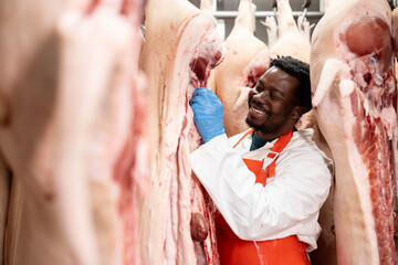 Professional butcher or food worker moving raw meat to the production line.