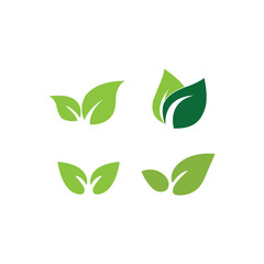 green leaf abstract beauty logo