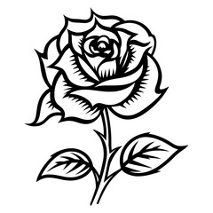 Elegant black and white rose illustration, perfect for botanical and romantic designs.