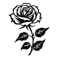 Elegant black and white rose illustration, perfect for botanical and romantic designs.