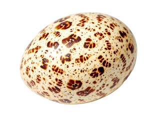 A single quail egg with brown spots, isolated on a white background. Generative AI