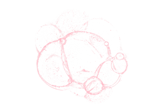 Bright pink watercolor or ink stain with watercolor marks on transparent background.