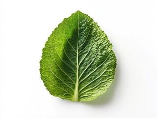 Obraz premium Crisp lettuce isolated on a white background, top view. Green salad vegetable close-up photo with a clipping path.