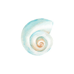 Sea shell watercolor illustration hand drawn and isolated on white background. Object for design of summer labels, packaging and textiles