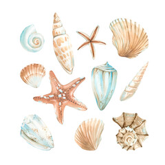 Seashells set of watercolor illustrations in orange, blue and red colors. Collection of hand drawn elements isolated on white background. Design elements for summer labels, textiles, tableware
