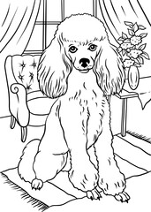  dog coloring book