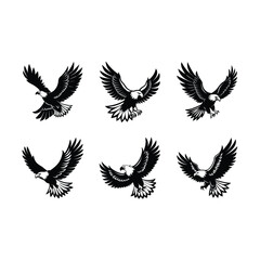 Obraz premium Bald Eagle Soaring Vector Illustration