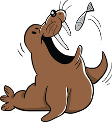 big fat walrus eating fish