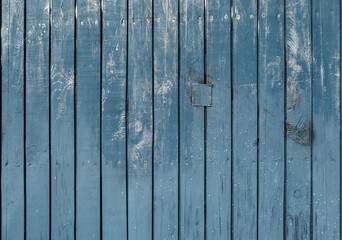 Old Rough Wooden Wall Painted Blue With Visible Wood Structure And Rings. Blue Wooden Boards Arranged Vertically. Close up. Weathered Wood with White Stains and Abrassion.