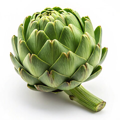 Obraz premium artichokes on a white background