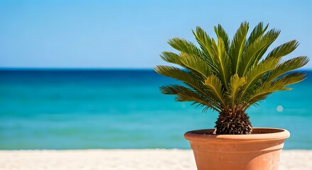 A beachside scene with a vibrant blue ocean backdrop and a potted palm plant, AI Generated