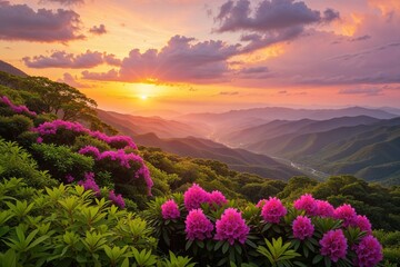 Serene mountain sunset embraced by vibrant rhododendrons, showcasing a breathtaking panorama with soft golden light.