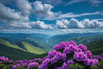 A breathtaking mountain vista explodes with vibrant purple rhododendrons under a stunningly blue sky, fluffy white clouds drifting lazily overhead.