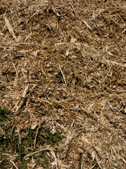 Shredded Wood And Branches. Pile Of Shredded Remnants Of Cut Wood. Crushed Wood Mass Produced By The Operation Of A Wood Shredder.