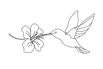Hummingbird feeding on hibiscus flower, single line art, nature, tropical, elegant, minimalist, draw © Chaya