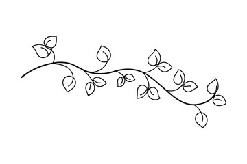 Simple Line Drawing of a Meandering Vine with Leaves