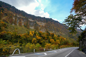 紅葉真っ盛りの立山山麓・悪城の壁