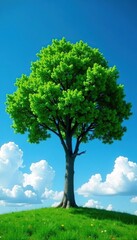 Fototapeta premium Tree against a clear blue sky with fluffy white clouds, tree, calm, sky