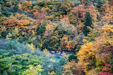 紅葉真っ盛りの自然風景