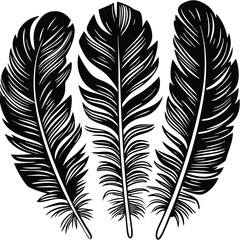 Obraz premium Feathers silhouette set vector image (33).eps