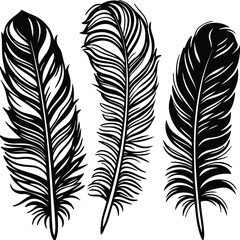 Obraz premium Feathers silhouette set vector image (8).eps