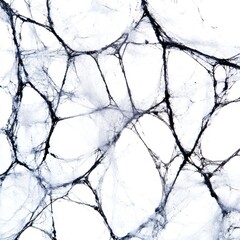 TexturesBackgrounds Spiderweb Sticky Perspective Black