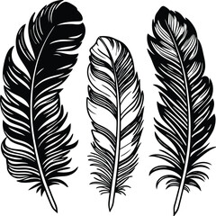 Obraz premium Feathers silhouette set vector image (11).eps
