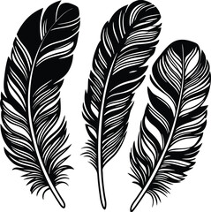 Obraz premium Feathers silhouette set vector image (18).eps