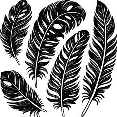 Obraz premium Feathers silhouette set vector image (23).eps