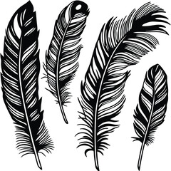 Obraz premium Feathers silhouette set vector image (24).eps