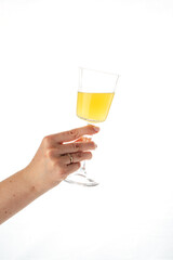 traditional Japanese sushi rolls on a white background
