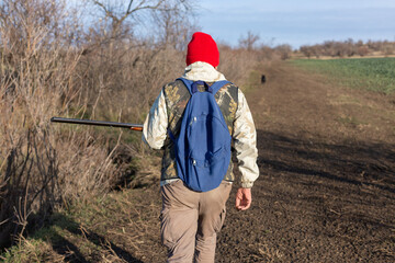 Mature hunter man holding a shotgun and walking through a field