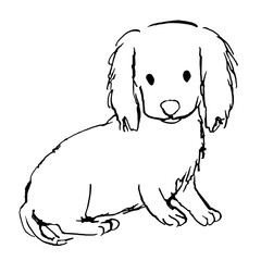 手描きの犬の塗り絵のイラスト　ゴールデンレトリーバーの子犬