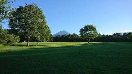 広々とした芝生が敷き詰められた広大な地面の上の木と林や森の奥中央に聳える雲一つない青空の下の富士山