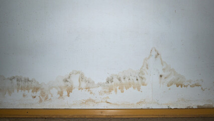 Flooding rainwater or floor heating systems, causing damage, peeling paint and mildew.