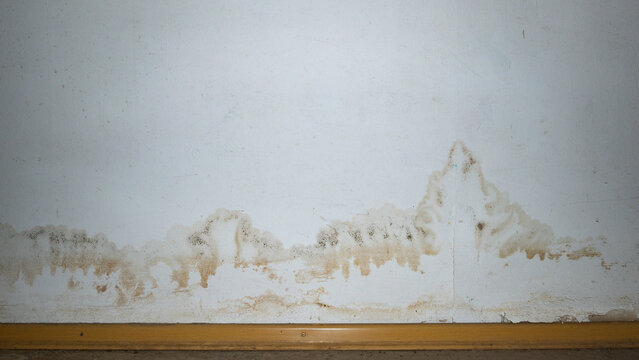 Flooding rainwater or floor heating systems, causing damage, peeling paint and mildew.
