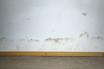 Flooding rainwater or floor heating systems, causing damage, peeling paint and mildew.