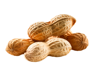 Varios cacahuetes sobre fondo transparente