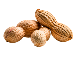 Varios cacahuetes sobre fondo transparente