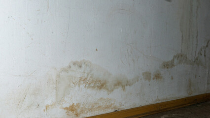 Flooding rainwater or floor heating systems, causing damage, peeling paint and mildew.