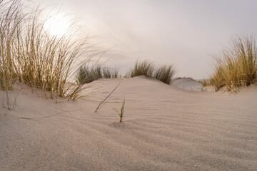 Zand duinen at the sea