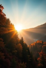 Naklejka premium Golden sunlight bathes autumnal forest, vibrant foliage, misty mountain panorama, vista, wilderness