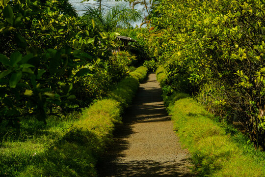 View of an alley at Auberge St Aubin, Mauritius