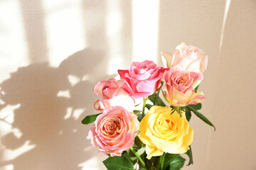 カラフルなばら