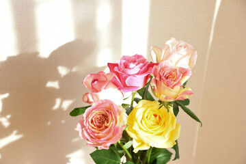 カラフルなばら