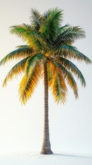 Obraz premium Majestic Palm Tree on a Sunny Day: A Tropical Paradise