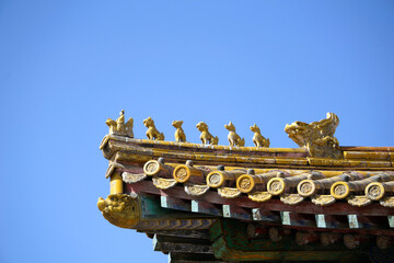 A close-up shows the intricate roof details and sculptures of the Forbidden City in Beijing, China.