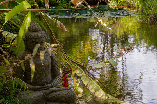 Close-up shot of a Buddha statue by a river at Auberge St Aubin, Mauritius